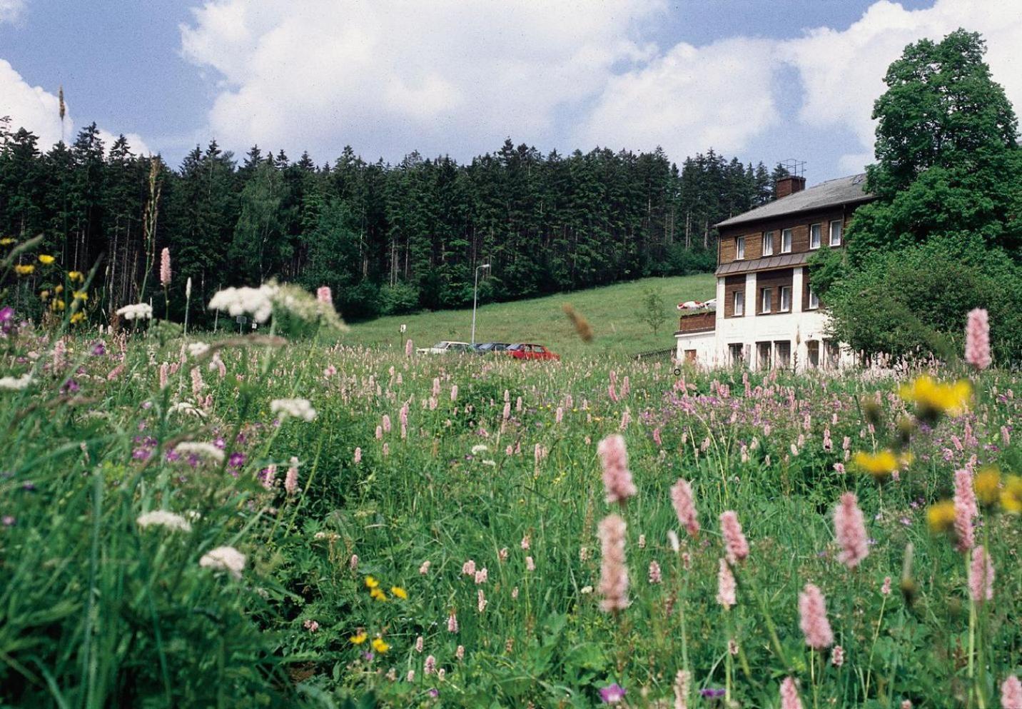 Landhaus Bergidyll แบเรนชไตน์ ภายนอก รูปภาพ