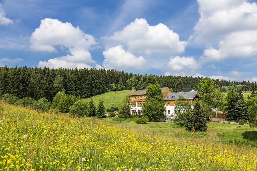 Landhaus Bergidyll แบเรนชไตน์ ภายนอก รูปภาพ